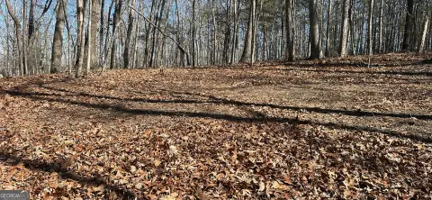 North Georgia Mountain Land