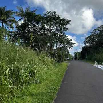 Cleared Lot in Pahoa, HI