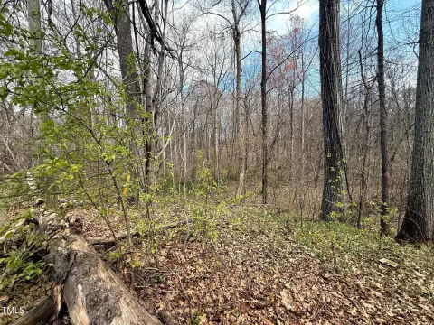 Wooded Lot in Winston-Salem