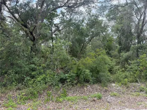 Spacious Land in Webster, Florida