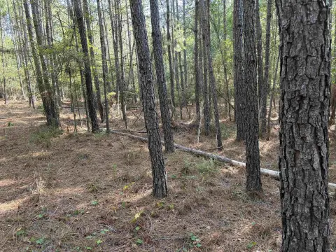 Commercial Land Near Marina