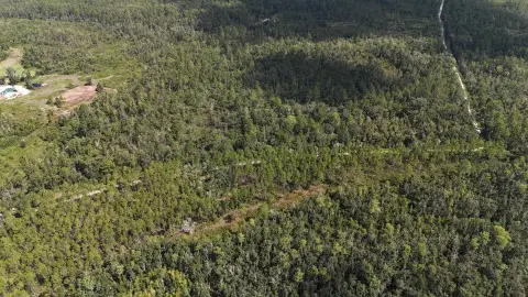 Private Hunting Land