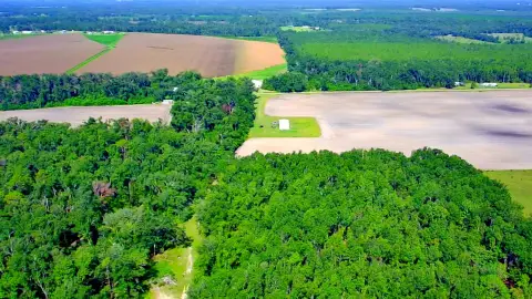 Hunting Land Parcel