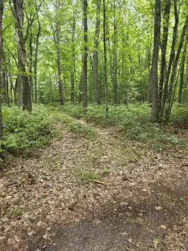 Hunting Land with Lake Frontage