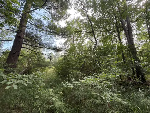 Creekside Recreation Land