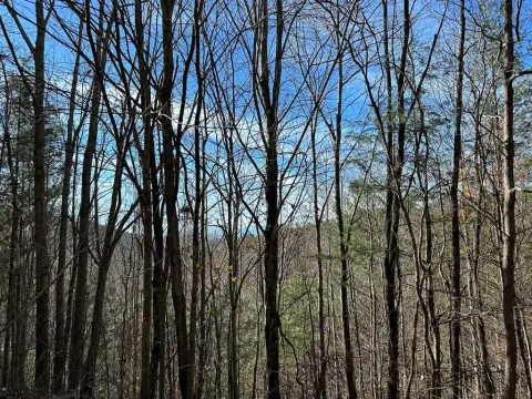 Hayesville, NC Wooded Contiguous Lots