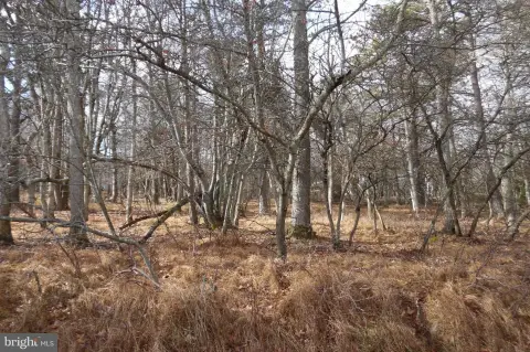 Residential Lot in Towamensing Trails