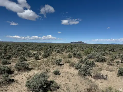 Large Land Parcel Near BLM