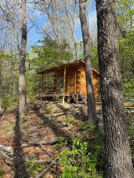 Timber Hunting Tract with Cabin