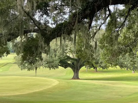 Golf Course Lot in Killearn