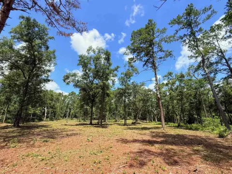 5 Acre Parcel in Greenville