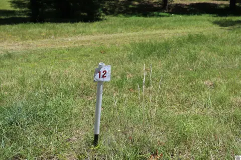 Waterfront Lot in Sassy Land