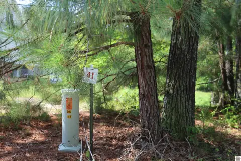 Waterfront Lot in Sassy Land