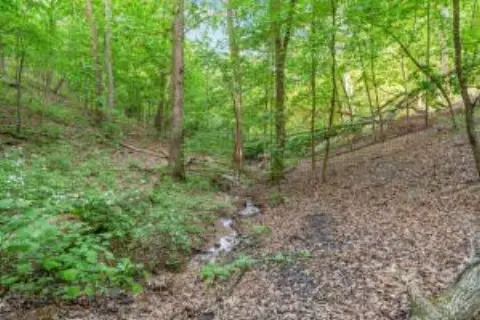 Vacant Land in Branson, MO