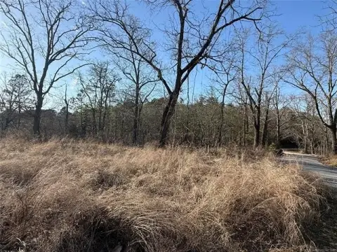 26.6 Acres with Income Potential