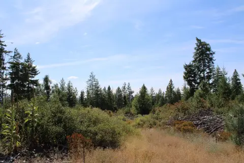 Land with Mountain Views