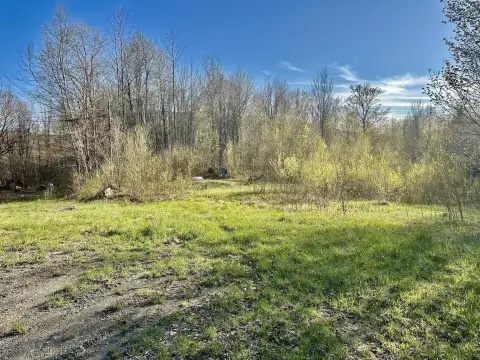 Residential Building Lot with Shared Well