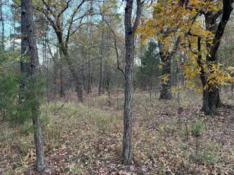 Secluded Woodland Hunting and Homesite