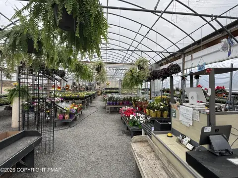 Established Nursery with Income Streams