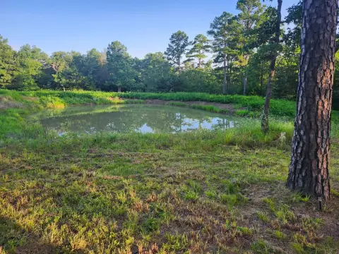 Remote Hunting Land with Cabin