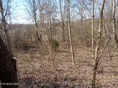 Residential Home Lot