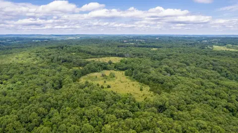 Recreational Hunting Tract