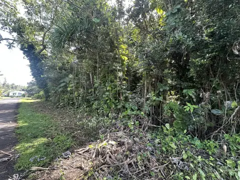 Pahoa Land Parcel For Sale