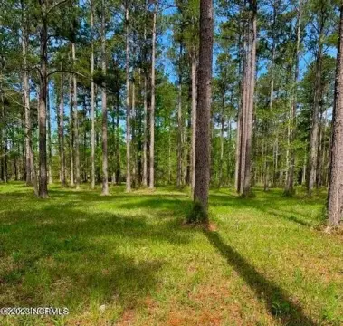 Residential Land in Arapahoe, NC