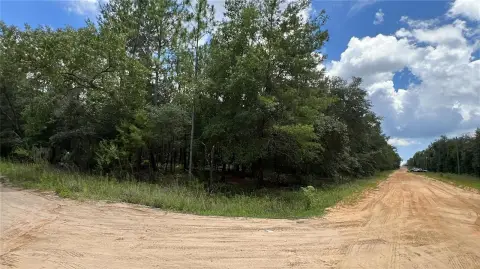 Corner Lot in Growing Area