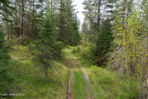 Idaho Timbered Land Bordering State