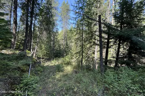 Secluded North Idaho Acreage