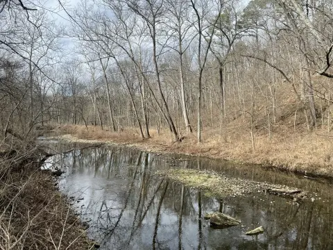 Land with Creek Frontage