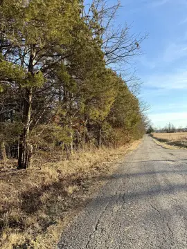 28 Acres in Polk County