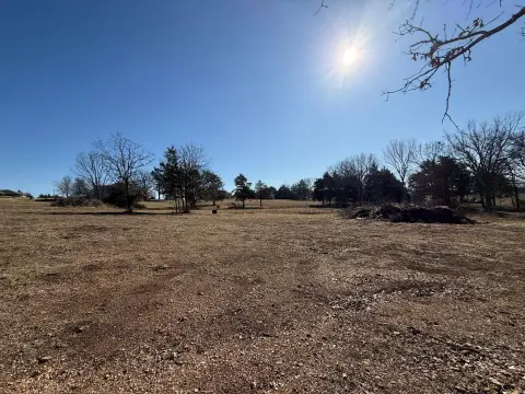 Residential Lots in Houston, MO