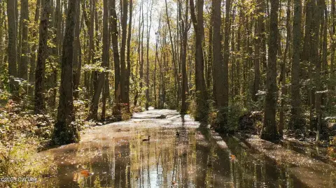 Turnkey Hunting Land Near Highway