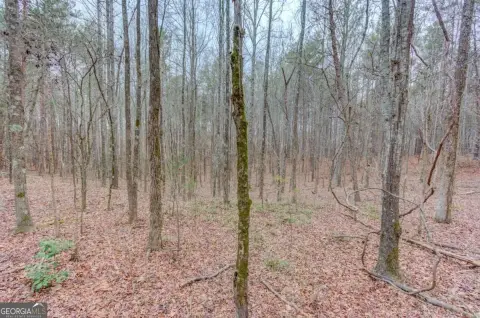 9.43 Acres of Wooded Land