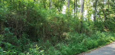 Residential Land in Dunlap, TN