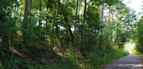 Residential Land in Dunlap, TN