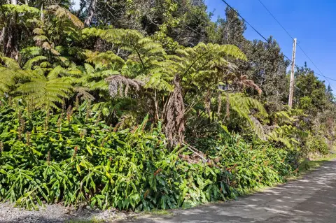 Forested Lot in Volcano Village