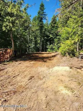 Secluded Acreage in St. Maries