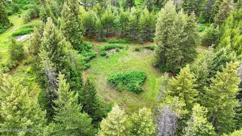 Treed Residential Development Lot