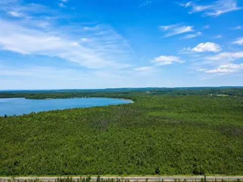 Wooded Hunting Land