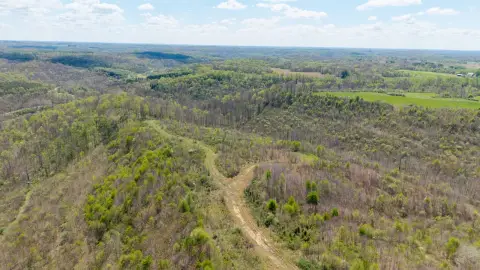 Prime Hunting Land with Creeks