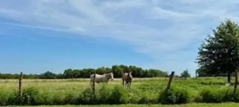 60 Acres Pastureland in Weaubleau