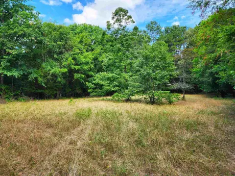 Eatonton Land with Hardwood Trees