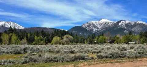 Reno Land with Creek Access