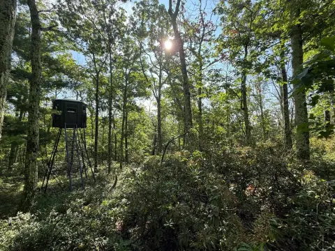 Improved Hunting Land with Box Blinds