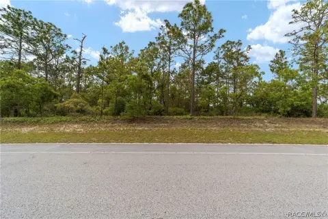 Residential Lot in Citrus Springs