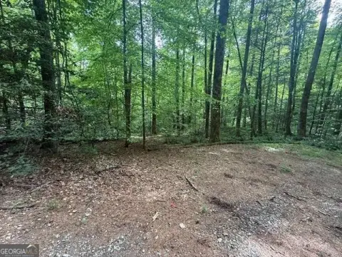 Wooded Lot in Rabun County