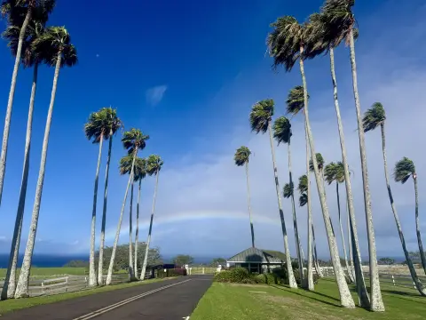 Ocean View 10-Acre Parcel